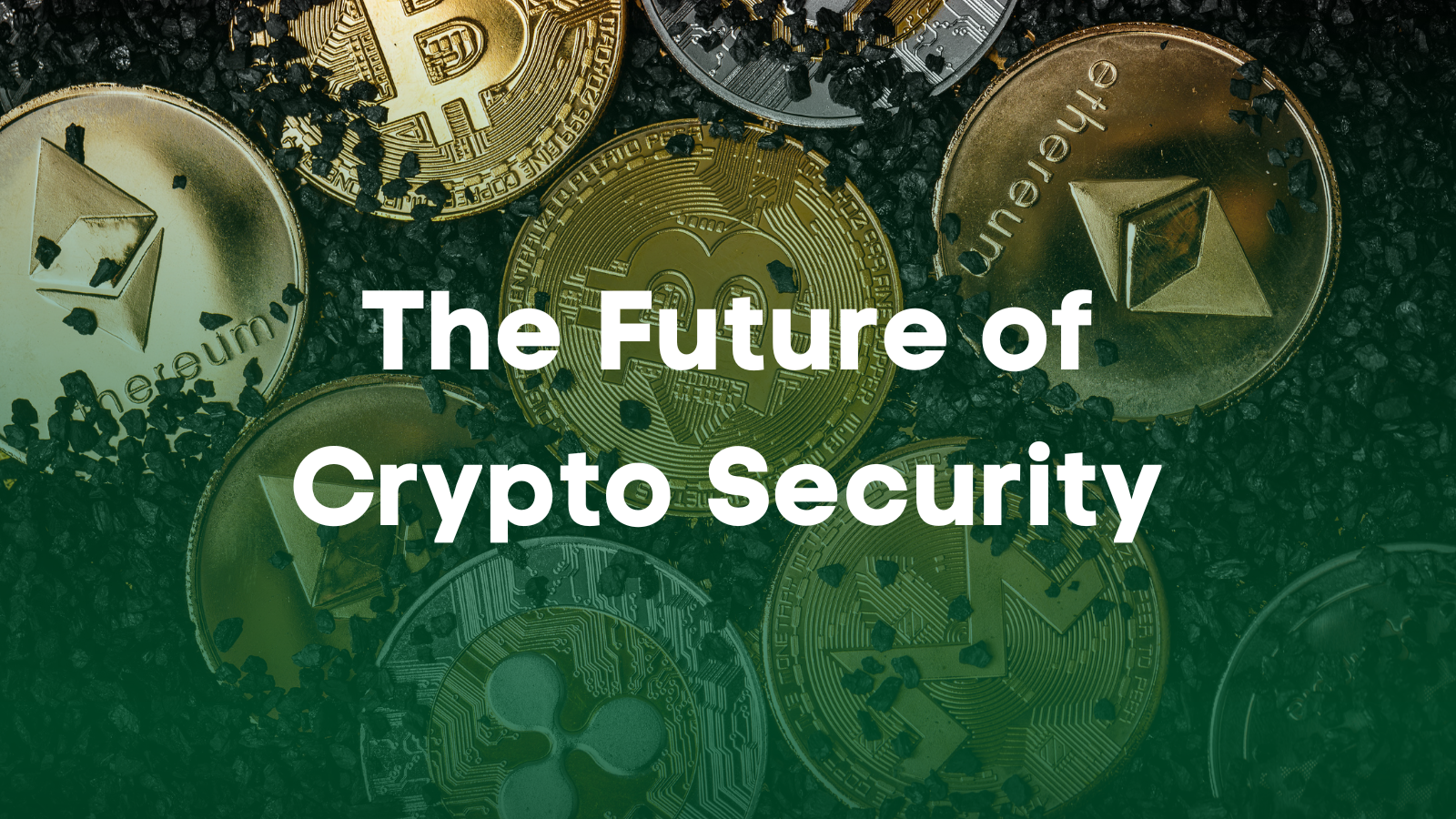 BDIC Newsroom - BDIC